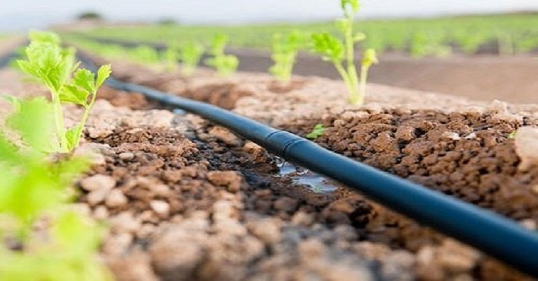 drip-irrigation